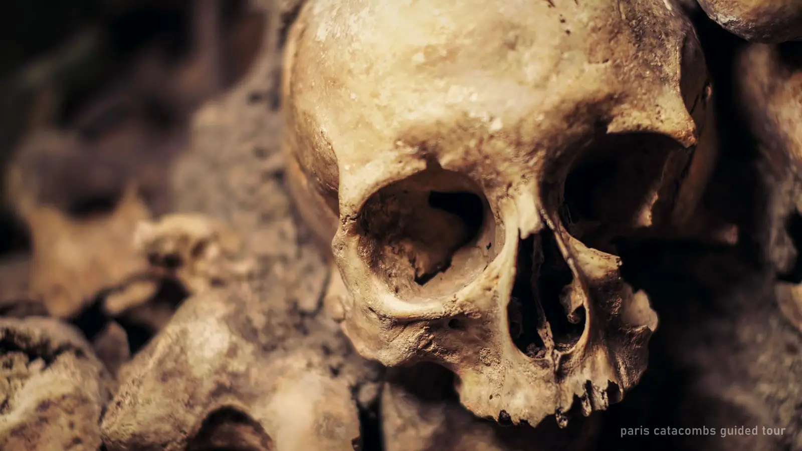 Paris Catacombs Guided Tour with Special Access ($156) — photo from the booking listing, Catacombs of Paris, Paris