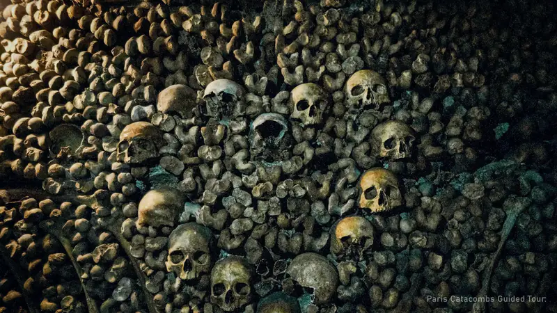 Paris Catacombs Restricted Access Tour, Max 7 ($212) — photo from the booking listing, Catacombs of Paris, Paris