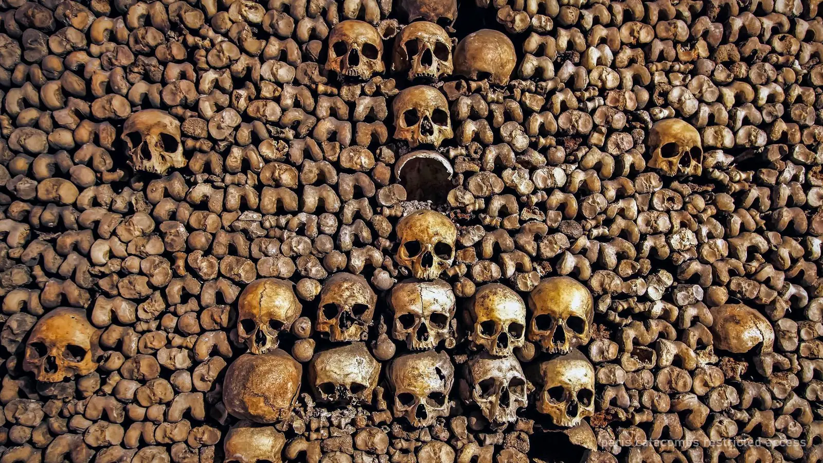 Paris Catacombs Restricted Access Tour, Max 7 ($212) — photo from the booking listing, Catacombs of Paris, Paris