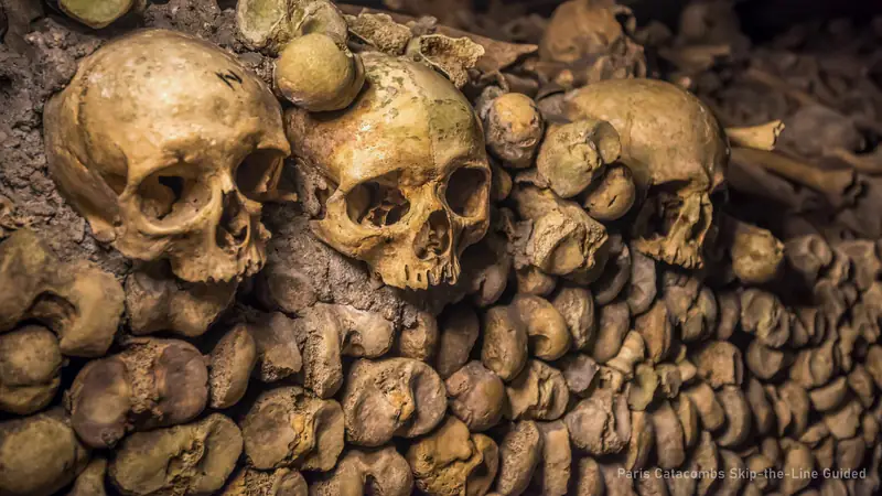 Paris Catacombs Guided Tour with Special Access ($156) — photo from the booking listing, Catacombs of Paris, Paris