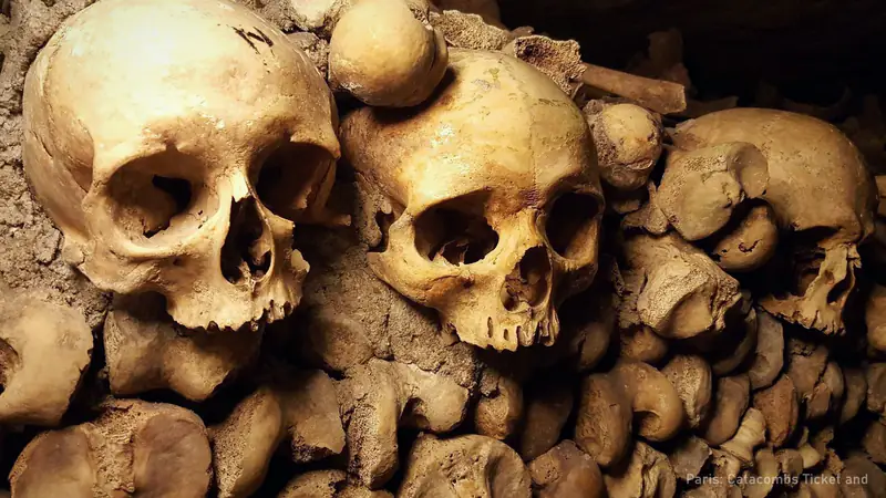Paris Catacombs and Seine River Cruise Combo ($129) — photo from the booking listing, Catacombs of Paris, Paris